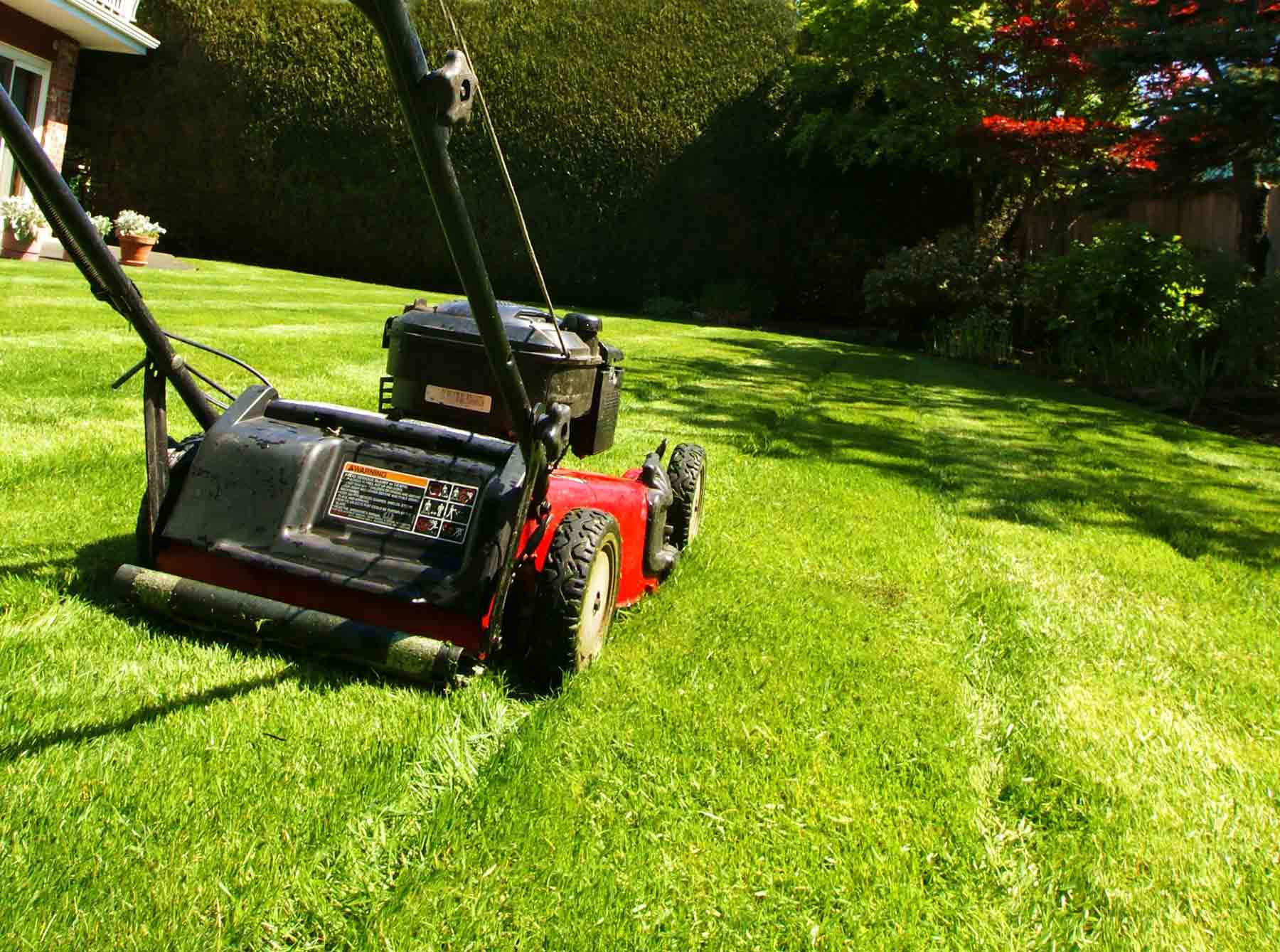 Gartenpflege