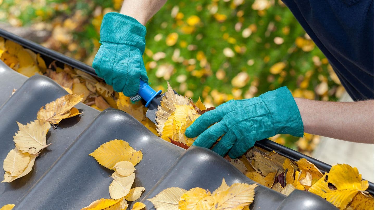 Reinigung der Dachrinnen von Laub und Schmutz – gründlich und zuverlässig