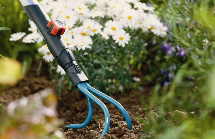 Pflege von Blumenbeeten und Pflanzflächen – gesundes Wachstum und gepflegtes Erscheinungsbild